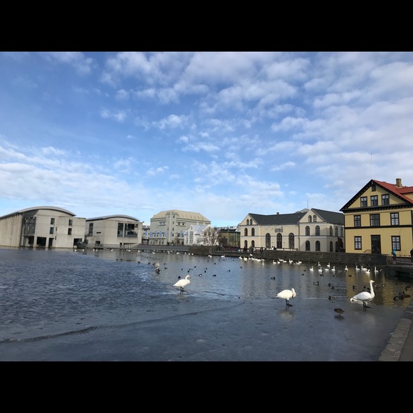 Meet your Posher, Jbid - Picture 1 of 1